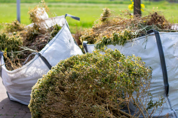 Best Electronics Removal Services  in Fountain Hill, PA